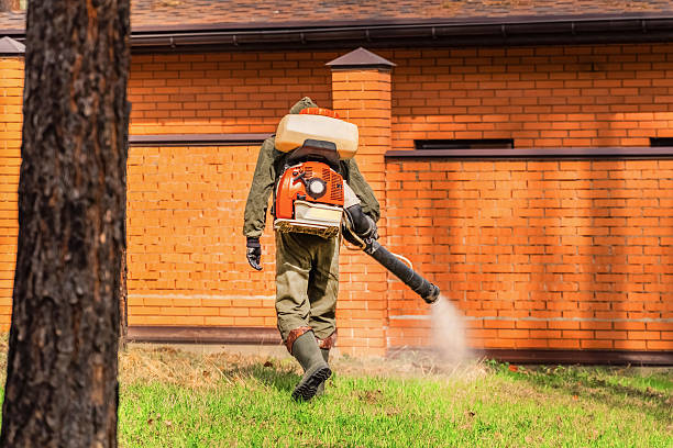 Trusted Cockroach Control service in Wellsville, OH - Nex Pest Control